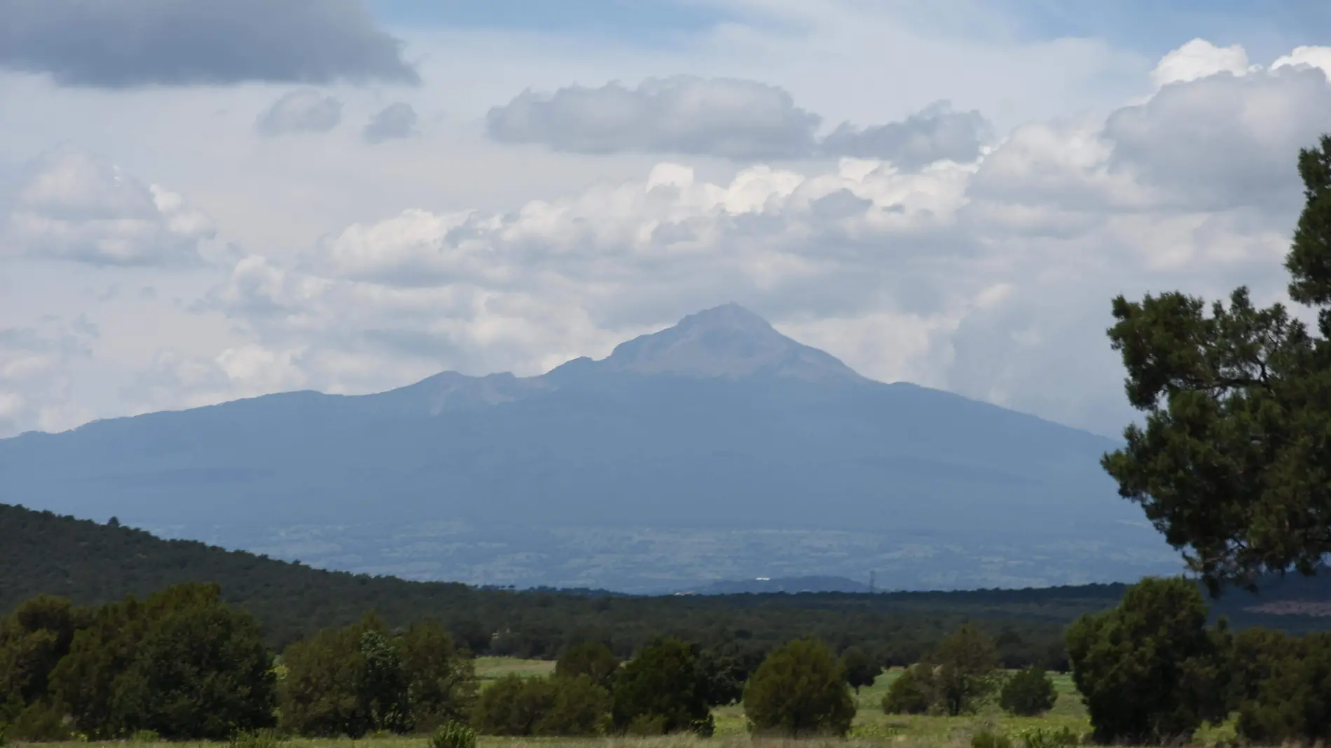 MALINCHE (1)